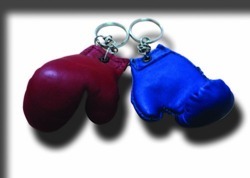 Manufacturers Exporters and Wholesale Suppliers of Boxing Gloves Key Ring Meerut Uttar Pradesh